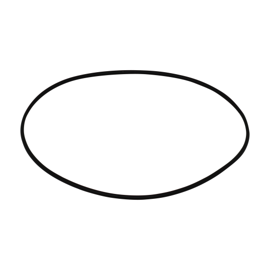 Gehäusedichtung Pedrollo 11514201583 